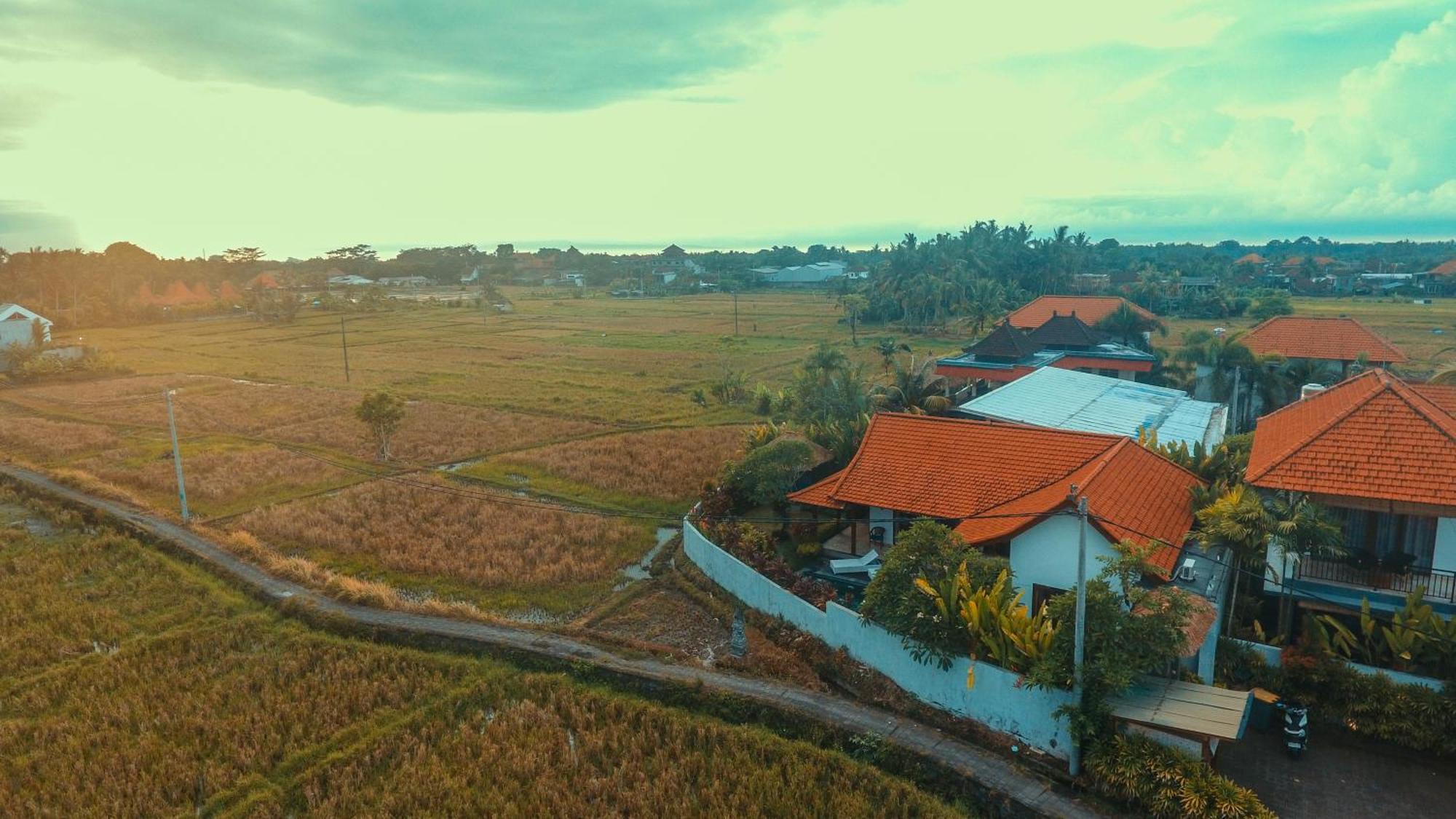 Villa Maya Ubud, Peaceful Rice Field View Kültér fotó