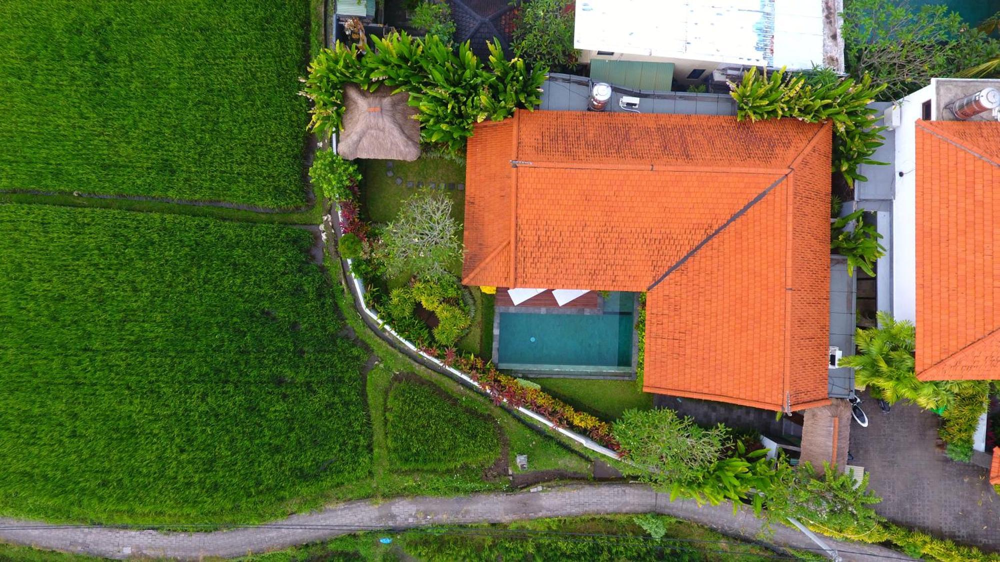 Villa Maya Ubud, Peaceful Rice Field View Kültér fotó