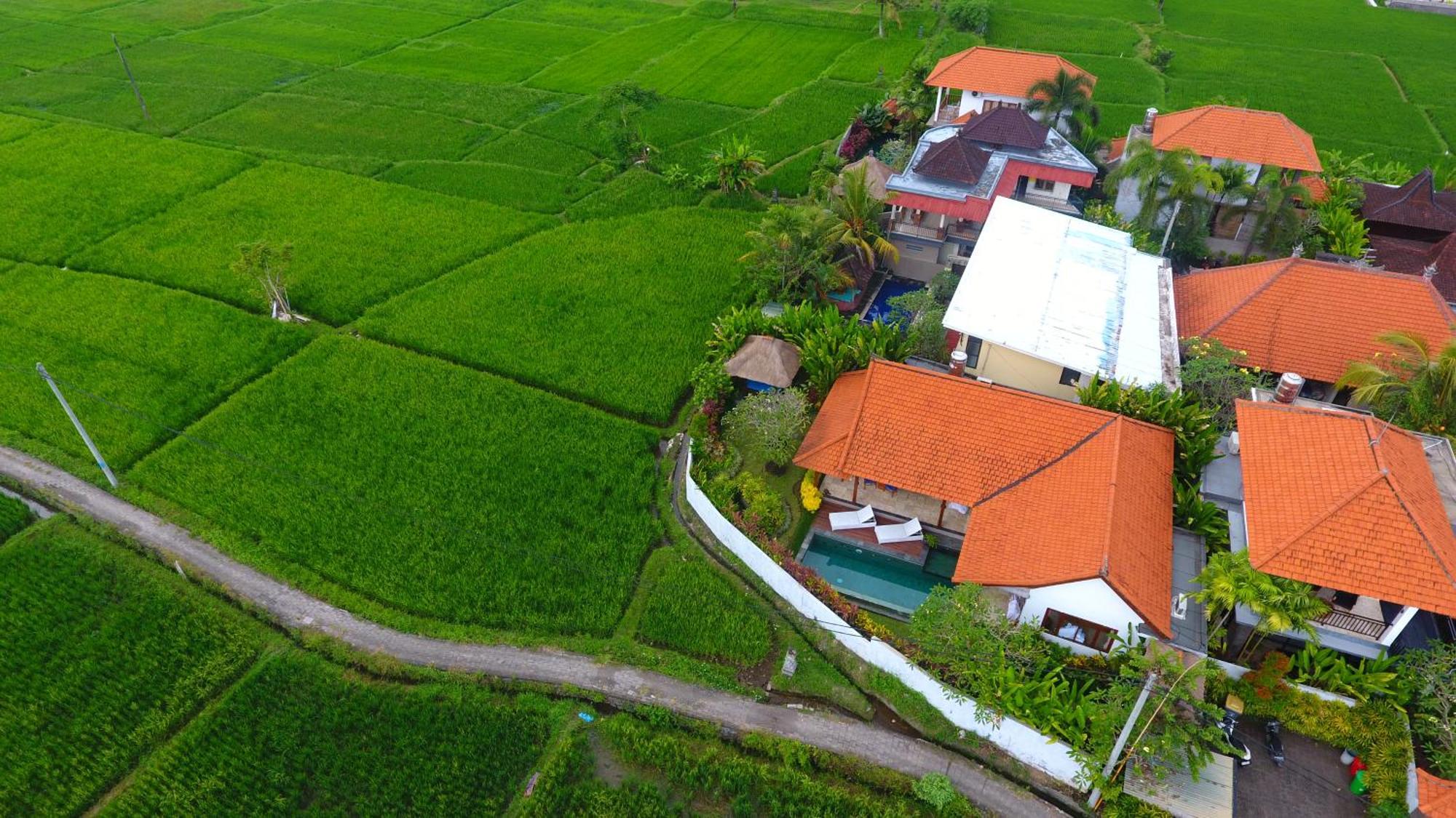 Villa Maya Ubud, Peaceful Rice Field View Kültér fotó
