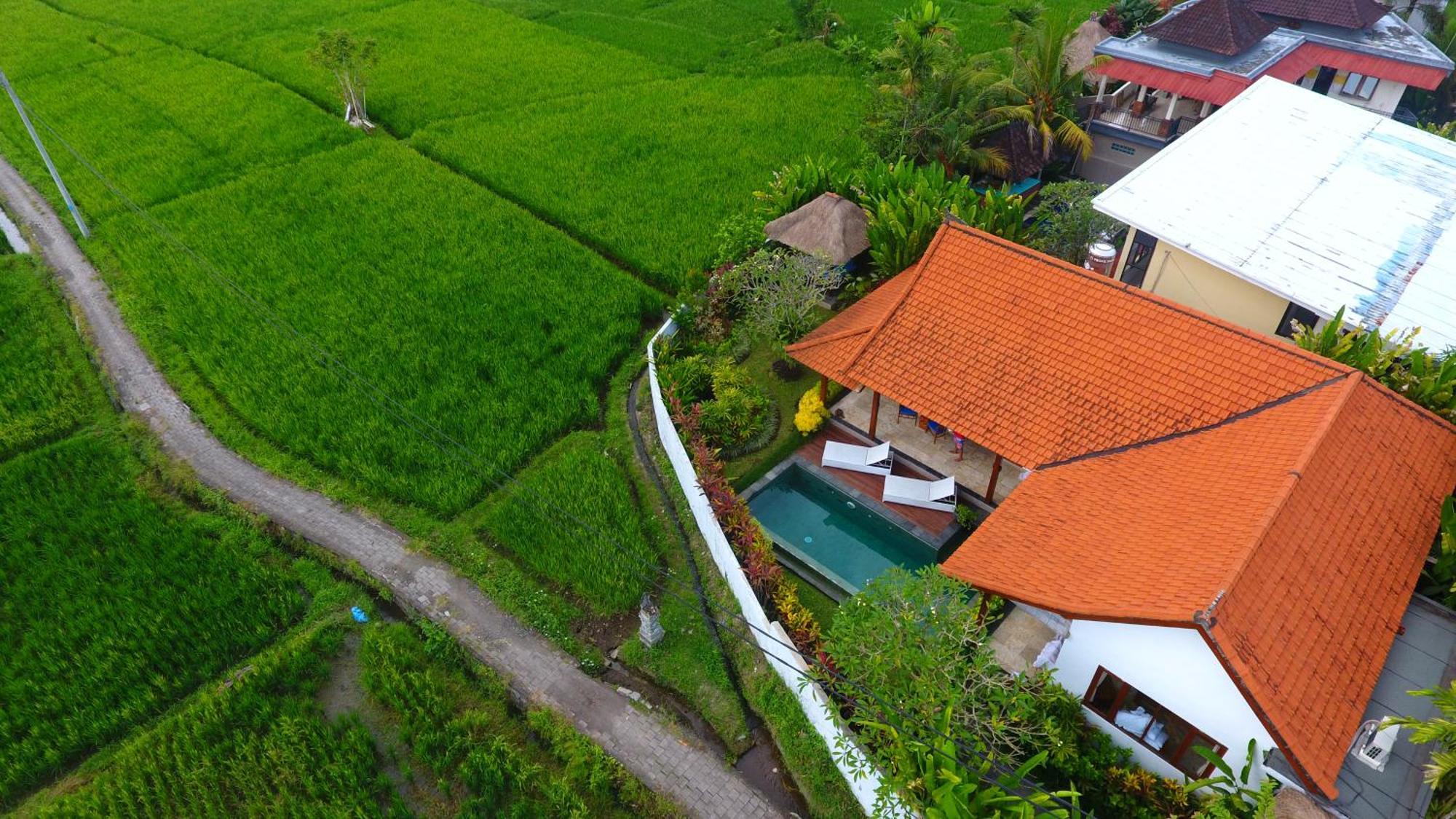Villa Maya Ubud, Peaceful Rice Field View Kültér fotó
