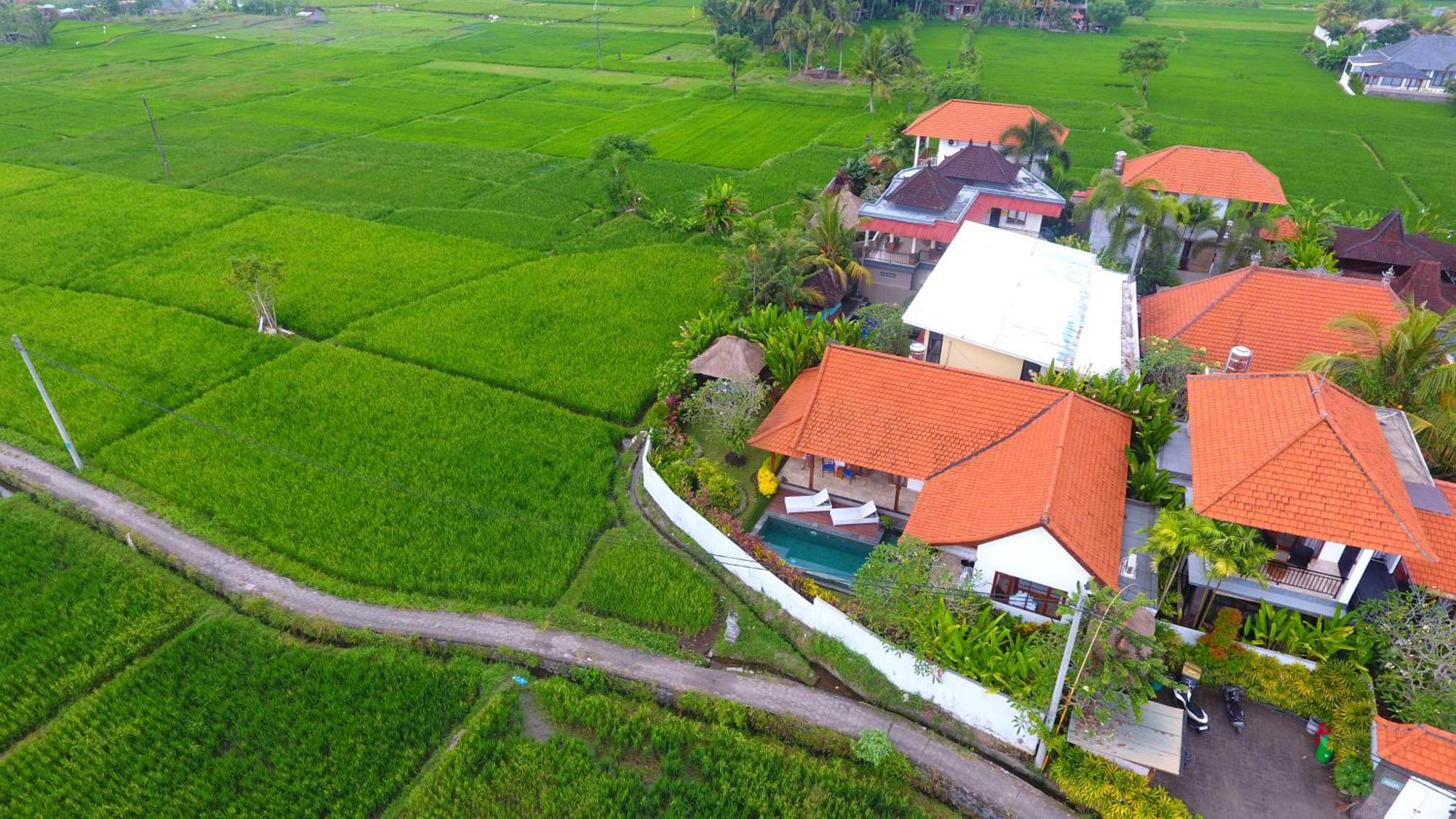 Villa Maya Ubud, Peaceful Rice Field View Kültér fotó